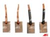 AS-PL MASX25-26 Carbon Brush, starter